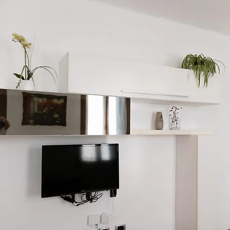 Lucky Flower Apartment